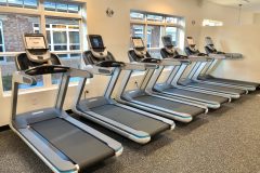 Precor P83 Treadmills
