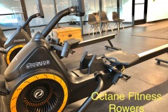 Octane Fitness Rowers