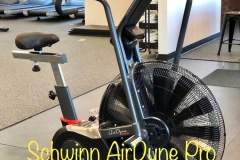 Schwinn AirDyne Pro Bikes